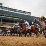 ABR Sunday Selections: Full-Card Picks for May 3 at Belmont at the Big A